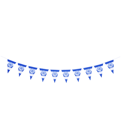 QPR BUNTING