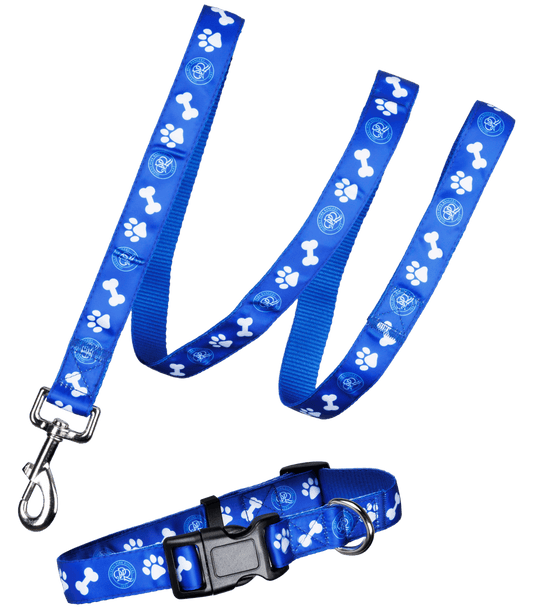 MEDIUM DOG COLLAR AND LEAD