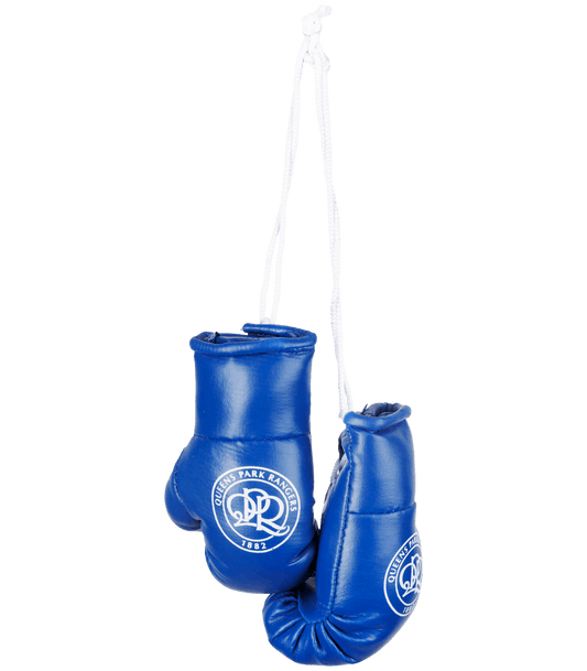 BOXING GLOVES HANGING PAIR