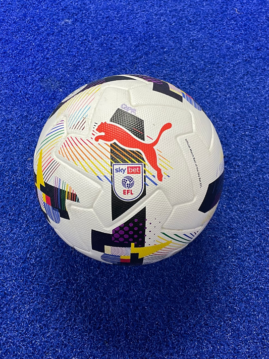MATCH USED EFL RAINBOW VS HOMOPHOBIA FOOTBALL